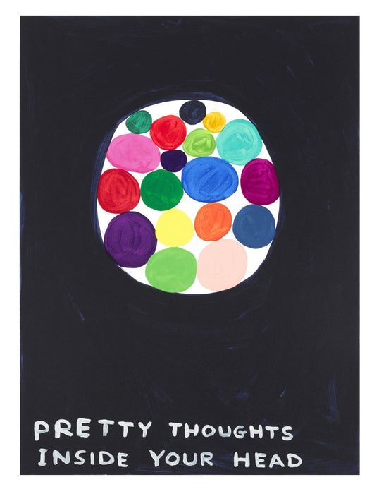David Shrigley -  Pretty Thoughts Inside Your Head